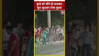 Agra-Delhi Highway: Dog को सीने से लगाकर फूट-फूटकर रोया युवक #shorts #shortsvideo #viralvideo