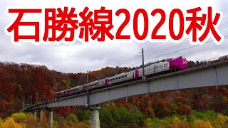 【4K動画】北海道鉄道140年記念【はまなす編成】を追いながら、晩秋彩る石勝線の有名な撮影スポットで特急列車をたくさん撮り鉄してきました😊