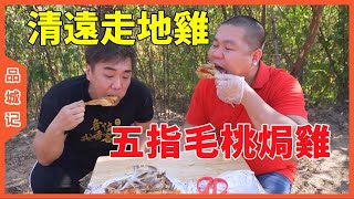 真正的清遠走地雞！用五指毛桃磨成粉來焗，真的是骨都有味！ 【品城記】