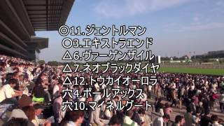 競馬予想　東京競馬　ジューンステークス　2013　競馬タウン