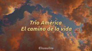 El camino de la vida - Trío América || Letra