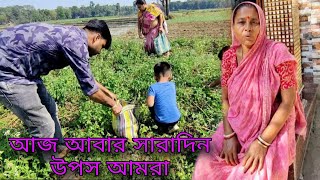 Ami theke sikhechi tomra amai dekhe shekho || বিনা পয়সায় টমেটো পেয়ে ব্যাগ ভর্তি করলাম জমি থেকে