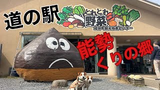 お野菜が新鮮！道の駅能勢くりの郷