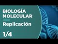 REPLICACIÓN del ADN | Biología Molecular 1/4