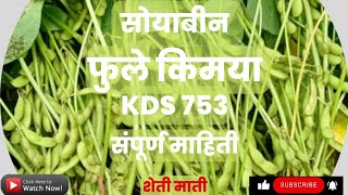 fule kimaya (kds 753) soyabean | फुले किमया (kds 753) सोयाबीन वाण संपूर्ण माहिती | एक नंबर वाण |