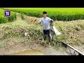 Gelung sawah lubuk rezeki