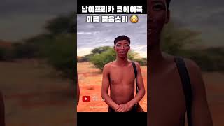 남아프리카 코에어족 이름 발음하기 😳