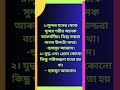 যুদ্ধ প্রেম কোনটাই পরিকল্পনা মত হয় না