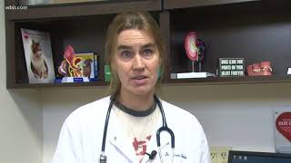 How do you protect your pet from dog flu?