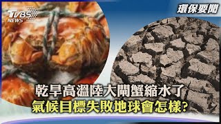 【環保要聞】乾旱高溫陸大閘蟹縮水了　氣候目標失敗地球會怎樣?｜TVBS新聞 2022.08.24