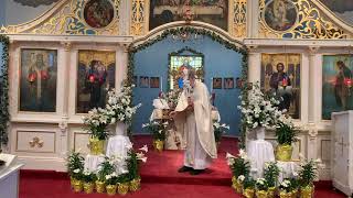 Divine Liturgy (Света Литургија) - Bright Monday - May 3, 2021