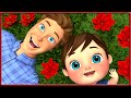 Garden Full of Green | Coco Shark Nursery Rhymes & Kids Songs