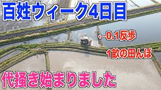 【代掻き】1畝の田んぼの代掻き 田植え準備 30代米作り奮闘記#61