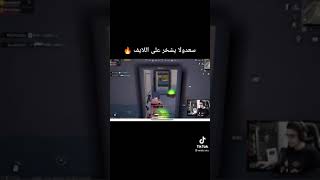 سعدولا يشخر ع اللايف