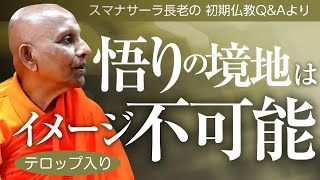 悟りの境地はイメージ不可能――シンプルな人間に戻ってみること｜スマナサーラ長老の切り抜き法話（初期仏教Q&A）#涅槃 #解脱 #jtba