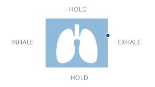 3 Minute Box Breathing Exercise