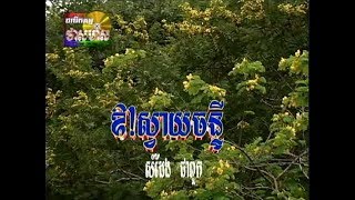 O Svay Chanty (ចម្រៀងស្រី-មានចម្រៀង)