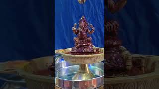 Varahi amman #varahi #religion #devotional #varahi_vastu #god #varahidevi #astrology #shorts