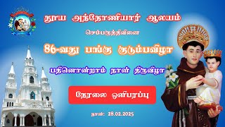 செம்பருத்திவிளை, தூய அந்தோணியார் ஆலயம், பங்கு குடும்பவிழா பதினொன்றாம்  திருவிழா நேரலை - (28.02.2025)