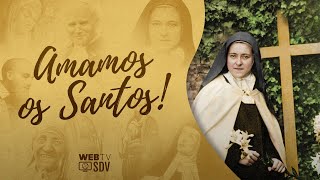 Amamos os Santos - Ep. 14 - A noite de Luz de Santa Teresinha #12