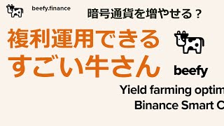 自動複利で資産を増やせる？beefy.financeを解説　BSC defiの運用方法に新しい波が！