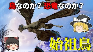 【ゆっくり解説】古代の翼「始祖鳥」＝アーケオプテリクスの謎