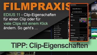 EDIUS 11 – Eigenschaften von vielen Clips mit einem Klick ändern (z.B. Farbe, Bildrate, Bandname)