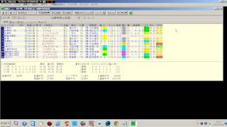 Youtube競馬！中京記念2013の検証動画！