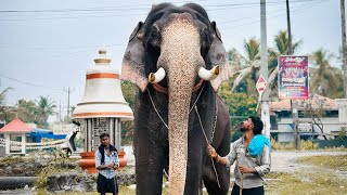 പേരൂർ ശിവൻ നീര് കാലത്തിന് ശേഷം പുതിയ ചട്ടക്കാരുമായി Peroor Shivan