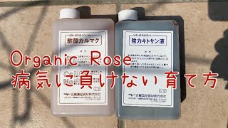 病気に負けない育て方 Organic Rose