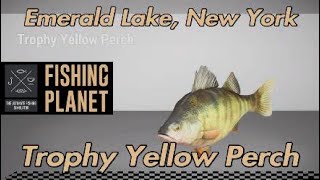 Fishing Planet Trophy Yellow Perch Emerald Lake New York