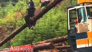 Tongass National Forest | This American Land