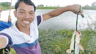 ចូលត្រីប្រាធំៗគួរសម ២០២២|| Catching  got big fish