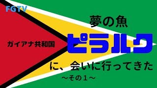 【FGTV】ピラルクーに会いに南米ガイアナ共和国へ行ってきた　その１　移動編