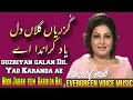 Noor jahan song | guzriyan galan Dil Yad Karanda ae | Punjabi song | jhankar song | remix song