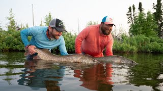 cree lake   1 min edit   1920x804 h264 master mp4 1080p