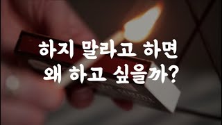 사람의 마음은 왜 그럴까?