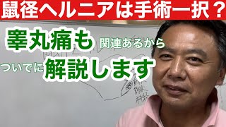 【鼠径ヘルニア】手術一択？しなくても大丈夫？睾丸痛も色々あるので整体師的に解説します