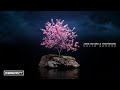 Jorg Schmid & Technikore - Solid Ground [OneSeventy]