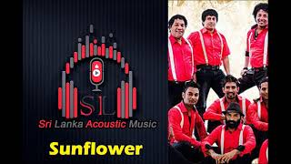 Aadare Kadulaki Mata Wedana(ආදරේ කදුලකි මට වේදනා) | Sounflower | #Sri_Lanka_Acoustic_Music