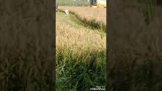 New holland 8070 ahmad nager video