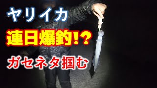 連日ヤリイカが爆釣と聞いたので行ってみたら　ただのガセネタだった　2022年3月6日　釣行　100種釣りチャレンジ中！57/100