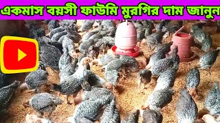 একমাস বয়সী ফাউমি মুরগির দাম জানুন #royal_agro_bd #01700986362