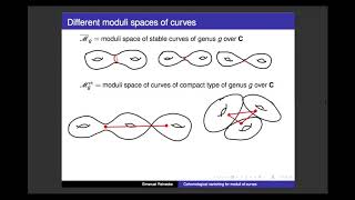 Cohomological vanishing for moduli of curves - Emanuel Reinecke