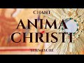 Anima Christi (Marco Frisina) - Marie Verschoote