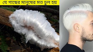 যে ঘটনাগুলো দেখে আপনি আশ্চর্য হয়ে যাবেন।  অদ্ভুত চোরাবালি।