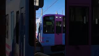 阪神タイガースのラッピング電車(阪神電車武庫川線)　Train Running in Hyogo Prefeture