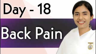 Day - 18 || Back Pain  || Health Awareness | BK Dr.Damini