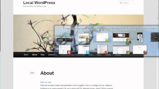 Writing Your First WordPress Plugin Part 4