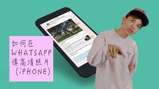 如何WHATSAPP 傳高清照片 iPhone  | 溫少IT腦 | dannyone